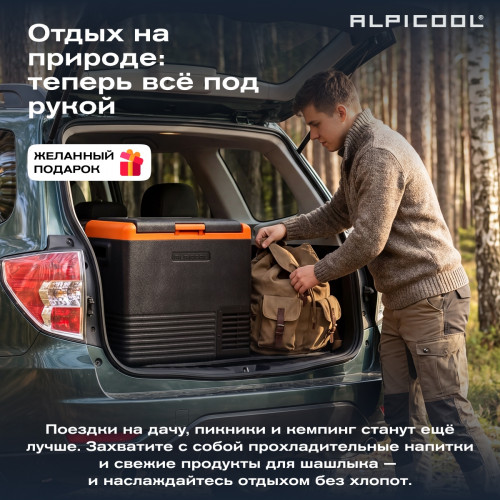 Автохолодильник Alpicool CL50 (12/24)