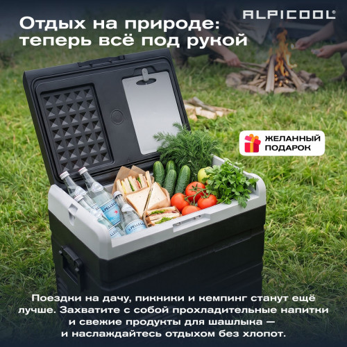Автохолодильник Alpicool TS50 (12/24)