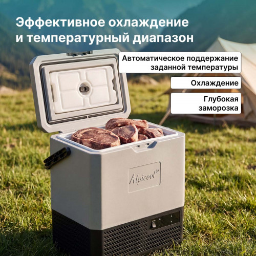 Автохолодильник Alpicool P15 (12/24)