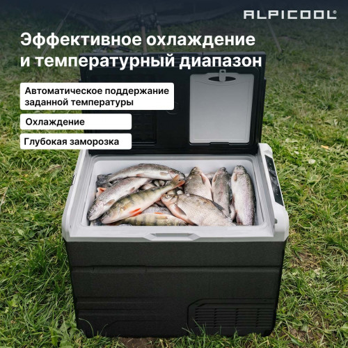 Автохолодильник Alpicool TS60 (12/24)