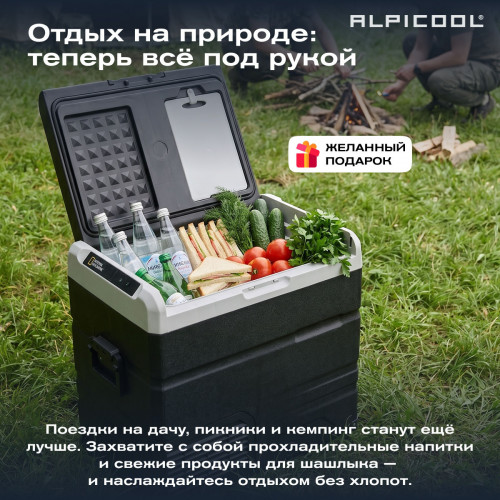 Автохолодильник Alpicool TS60 (12/24)